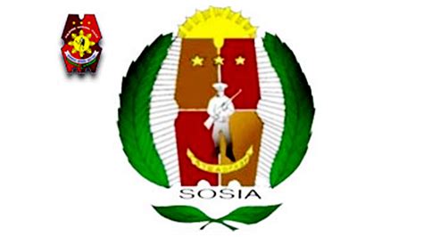 sosia logo background|New .